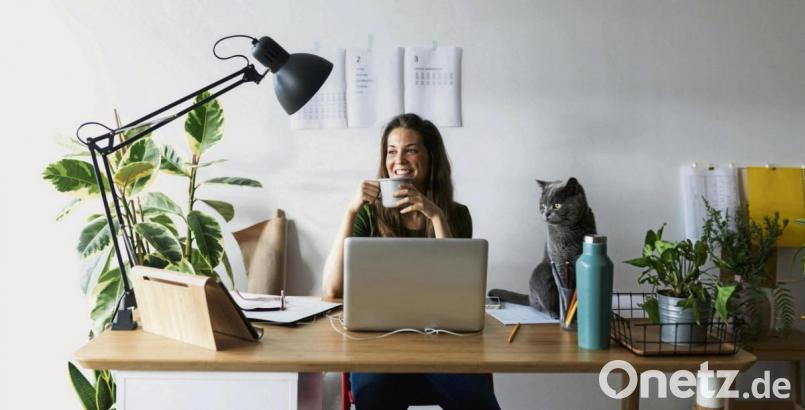 Am besten steht der Schreibtisch nah am Fenster und das Tageslicht scheint Linkshändern über die rechte Schulter. Bild: Valentina Barreto/Westend61/dpa