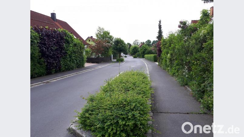 Im Zusammenhang mit der Verkehrsberuhigung in Wohngebieten bezeichnete sich Markus Scharnagl als "Fan der Elsa-Brändström-Straße" (Bild), vor allem wegen der Planzbereiche auf beiden Seiten und den zuvor angeordneten Parkflächen. Bild: pz