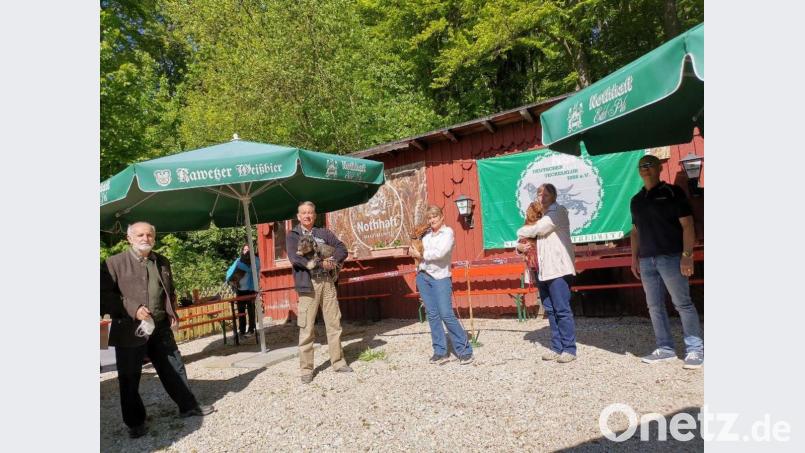 Drei Teilnehmer mit ihren Lieblingen und dem Vorsitzenden der Sektion Marktredwitz im Dachverband der Teckelzüchter, Wunibald Heinl (links), sowie Preisrichter Petr Guba (rechts). Bild: fphs