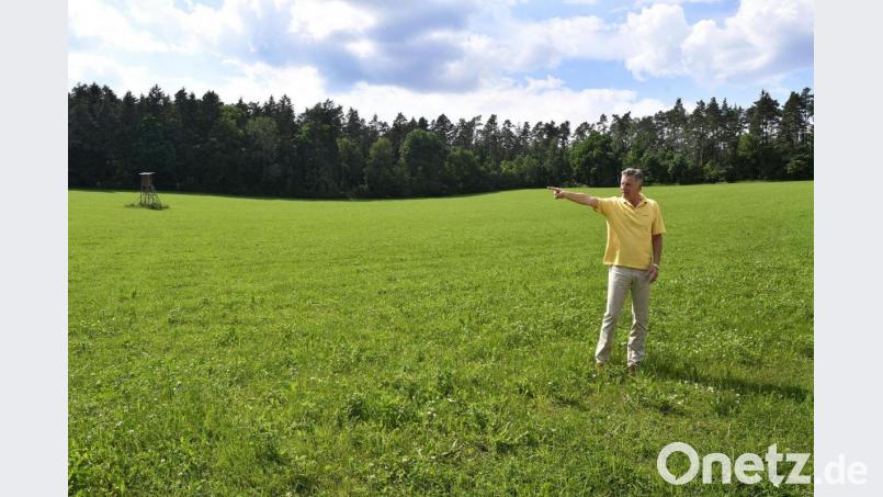 Michael Grob will das grüne Naturparadies am Rande des Hirschwaldes in Theuern bewahren und das dort geplante Neubaugebiet verhindern. Bürgermeister Strehl vermutet jedoch, Grob geht es nur um seine freie Sicht und die Ruhe. Bild: Petra Hartl