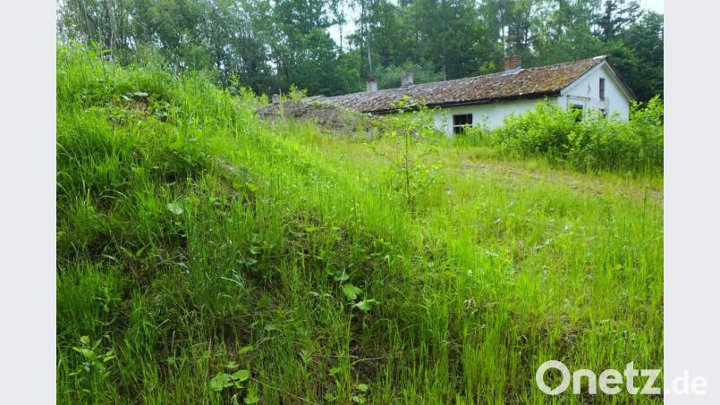 Der Vergangenheit wird bald das wüste Gelände der Sandgrube angehören. Besonders die alten drei Baracken gehören entsorgt. Bild: bkr