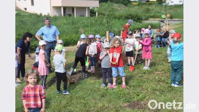 Der Beitrag zum Internationalen Kindertag. Die Kinder pflanzen Apfelbäume. Bild: fz
