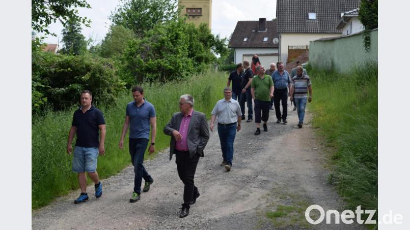 Die Anlieger des Schotterweges entlang der Naab in Iffelsdorf wünschen den Ausbau des Weges. Der Bauausschuss machte sich ein Bild von der Sachlage. Bild: bnr