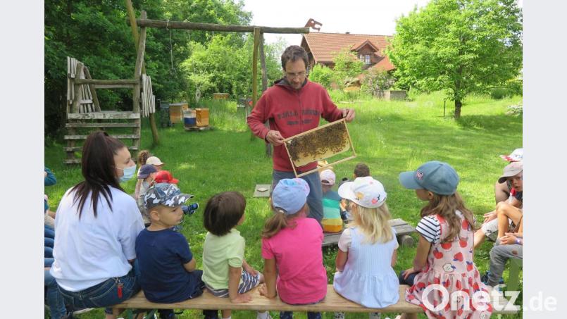 „Wo sitzt die Bienenkönigin?“, fragte Dr. Florian Hage die Pinguine. Bild: jzk