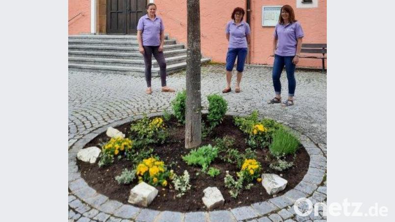 Helferinnen des Obst- und Gartenbauvereins an dem von ihnen bepflanzten Rondell an der Christuskirche in Schwend. Bild: Gerda Stollner/exb