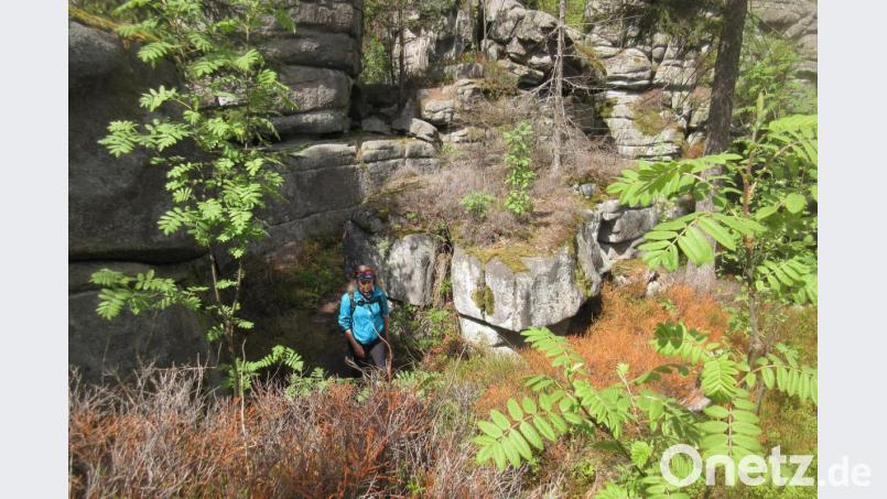 Felsen, üppiges Grün und verschlungene Pfade wie am Schellenberg lassen das Herz von Wanderern höher schlagen. Auch Mountainbiker fühlen sich in dieser Umgebung wohl. Das Miteinander verläuft nicht immer konfliktfrei. Mittendrin sind die Forstverantwortlichen, die auch die Erholungsfunktion der Wälder gewährleisten. Bild: ui