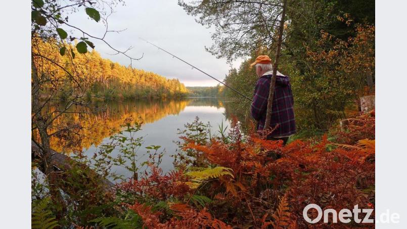Während der Coronapandemie war Angeln grundsätzlich erlaubt, wie hier am Röthenbacher Hammerweiher. Er ist eins von vielen Gewässern des Sportanglerbunds Weiden. Fischereivereine in der Region verbuchten auch einen Zuwachs an Tageskarten oder Gastanglern. Archivbild: Edwin Hartwich/Sportanglerbund Weiden/exb