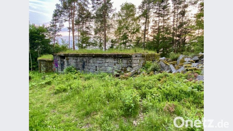 Das Steinhauerhaus, das seit kurzem frei geschnitten ist, soll optisch weitgehend in seinem Originalzustand erhalten bleiben. Selbst ein Teil des Daches soll wieder begrünt werden. Bild: Eichl
