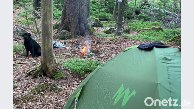 Viele Wildcamper schlagen ihr Zelt mitten in der Kernzone auf. Auch Lagerfeuer werden oftmals entzündet – ohne einen Gedanken an die Waldbrandgefahr zu verschwenden. Bild: Nationalparkwacht Bayerischer Wald
