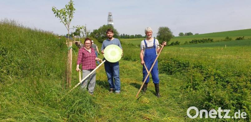 Die sieben Obstbäume entwickeln sich prächtig. Das freut (von links): Direktkandidatin Anne Droste, OV-Sprecher Johannes Bröckl, Stadtrat Thomas Übelacker Bild: Grüne Windischeschenbach/exb