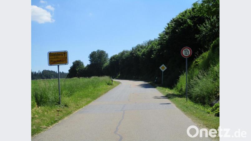 Die Verbindungsstraße von Pischdorf nach Enzelsberg wird von Schwerlastfahrzeugen befahren, obwohl diese auf zwölf Tonnen beschränkt ist. Die Straße hat bereits Schaden genommen. Bild: bnr