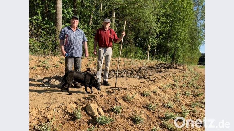 Naturschutzwächter Konrad Zier (links) mit Hundedame Lilly und TSV-Vorsitzendem Gerhard Greger (rechts) an der Naturtribüne. Bild: Aßmann/exb