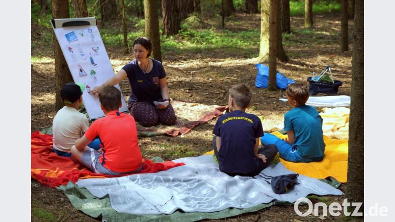 Vom Wald als lebendige Gemeinschaft von Pflanzen und Tieren, die wichtige Funktionen für den Menschen besitzt, hörten die Feuerdrachen. Bild: bkr