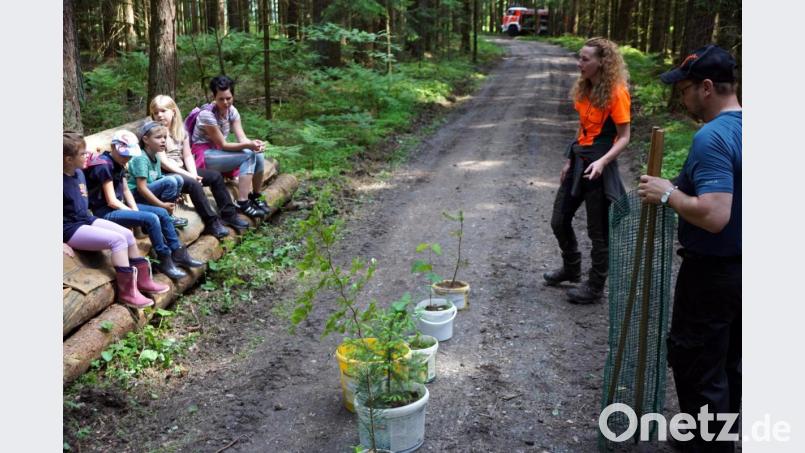 Baumstämme als Schulbank sowie Miriam Lang und Alois Krockauer vom Forstbetrieb Fichtelberg als Lehrer. Die Bäume des Waldes und wie sie geschützt werden können, stand auf dem Stundenplan Bild: bkr
