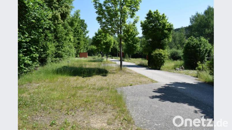 Wo sich früher Campingwagen an Campingwagen reihte wächst jetzt das Gras. Bild: bnr