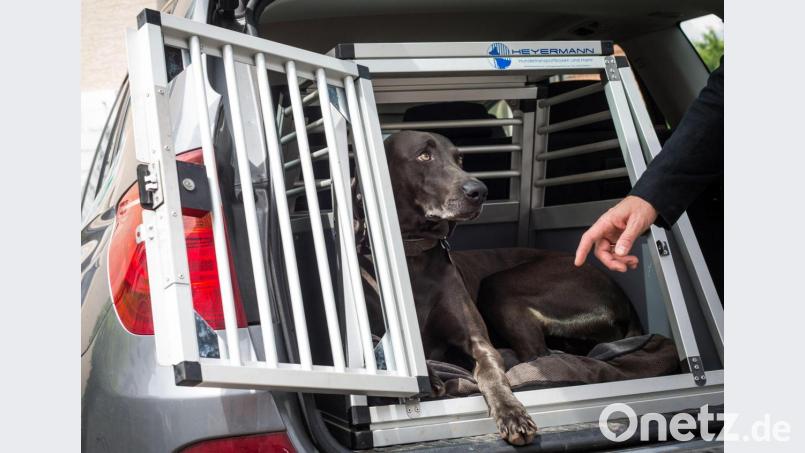 So reist es sich für Vierbeiner am besten: Eine Transportbox im Auto schützt im Ernstfall Hunde wie Halter gleichermaßen. Symbolbild: Christoph Schmidt/exb