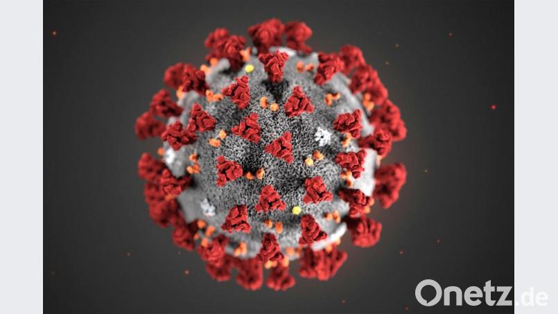 Diese von den Centers for Disease Control and Prevention (CDC) zur Verfügung gestellte Illustration zeigt das Coronavirus (2019-nCoV). Bild: Uncredited/Centers for Disease Control and Prevention/AP/dpa