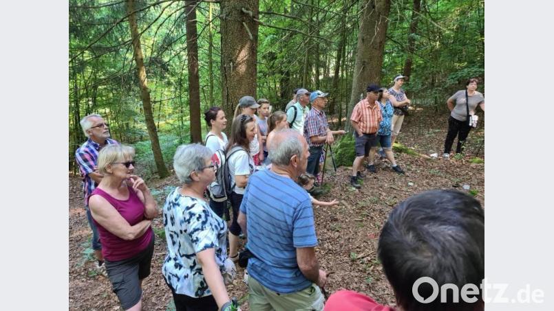 Die Familienwanderung, die in Fürnried begann und zu den Hansenlöchern führte, lockte zahlreiche Teilnehmer hinaus in die Natur. Bild: Kerstin Bodendörfer/exb