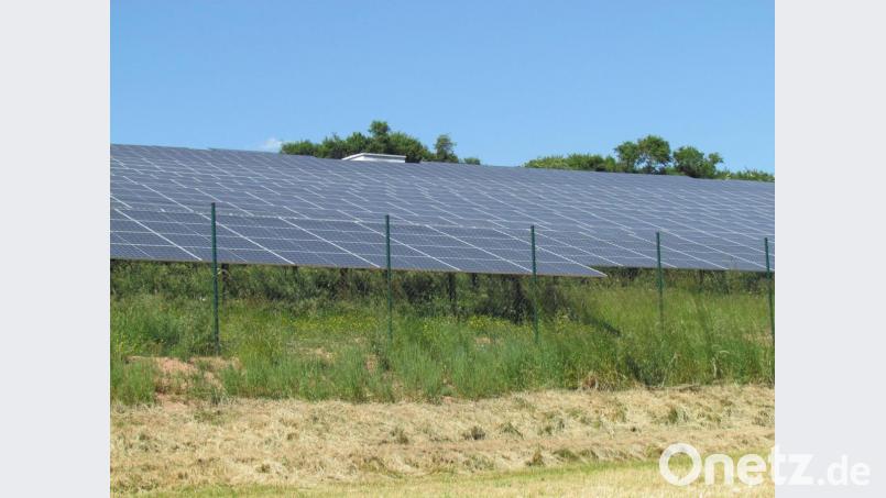 Eine von 13 Freiflächen-Photovoltaikanlagen der Neue Energien West ist der Solarpark Riggau bei Pressath. Bild: gis