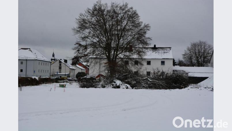 An der Zanklgartenstraße gegenüber der Grundschule – hier im Bild ein Teil des Areals – will die in Mitterteich ansässige Firma Lanz GmbH &amp; Co. KG ein Mehrgenerationenquartier mit bis zu 40 Wohnungen errichten. Der Spatenstich soll noch in diesem Jahr erfolgen. Bild: jr