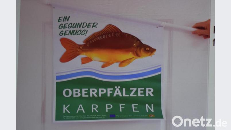 Mit neuen Werbemitteln will die Tego auf das Qualitätsprodukt "Oberpfälzer Karpfen" hinweisen und so den Absatz steigern. Bild: bnr