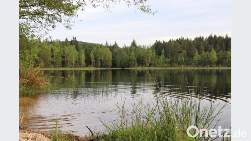 Ein Besuch am Badeweiher, der anders lief als geplant: Ein wunderbarer Alltagsmoment. Bild: sfo