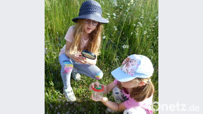 Für die Mädchen und Buben der Grundschule Mähring stand vor kurzem „Unterricht“ auf der Sommerwiese im Stundenplan Bild: Grundschule Mähring/exb