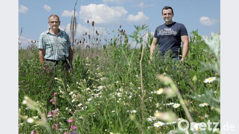 Herbert Fleischmann (links) und sein Sohn Markus auf der Blühwiese in Winbuch: Sie freuen sich, dass ihre Idee eines privaten Naturschutz-Projekts durch Unterstützung von &quot;Paten&quot; auch im dritten Jahr noch Blüten trägt. Bild: Wolfgang Steinbacher