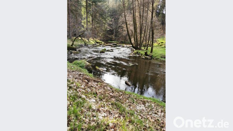 Die Waldnaab ist an vielerlei Stellen ein echter Blickfang. Bild: hzi