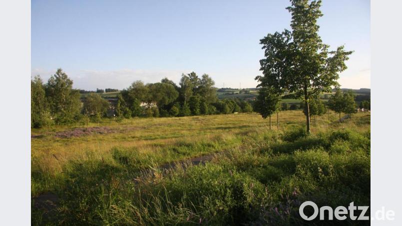 Die Gemeinde Krummennaab möchte auf einer Brachfläche - unweit des Bürgerparkes - einen neuen Bauhof errichten. Die Erbendorfer Stadträte gaben dafür &quot;Grünes Licht.&quot; Belange der Stadt Erbendorf würden nicht berührt, stellte Bürgermeister Reger in der Sitzung fest. Bild: wro