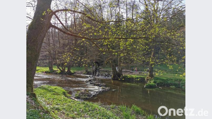 Neben dem Wanderweg Richtung Neuhaus und anderen Zielen fließt die Waldnaab dahin. Bild: hzi
