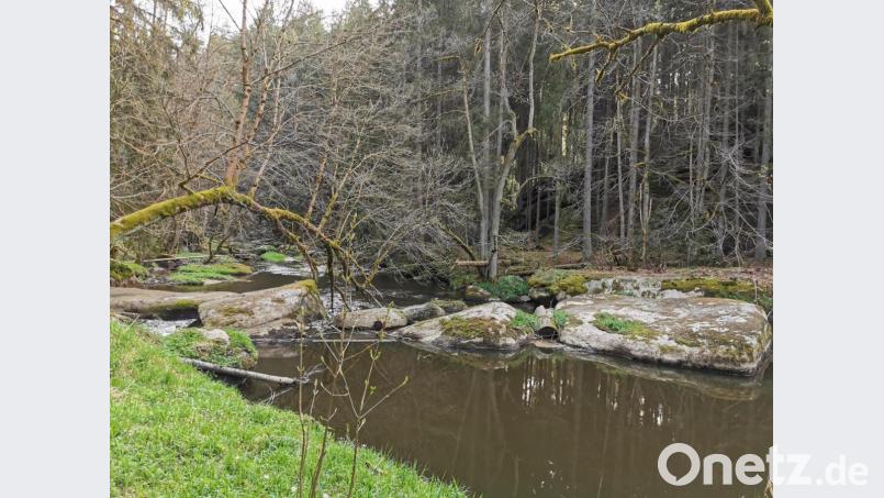 Ein ins Wasser hängender Baum und die im Wasserlauf ruhenden Felsblöcke verleihen der Landschaft eine urwüchsige Wildheit. Bild: hzi