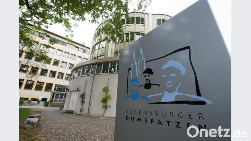 Die Regensburger Domspatzen öffnen ihr Gymnasium jetzt auch für Mädchen. Symbolbild: Armin Weigel