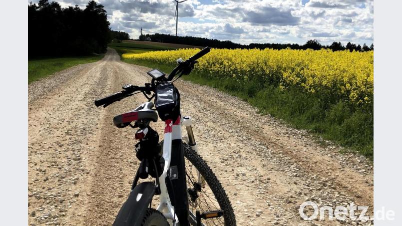 Herrliche Radlermomente und faszinierende Natureindrücke zeigt das Foto von Sandra Seitz, mit dem sie den Fotowettbewerb beim Stadtradeln Amberg gewann. Bild: ads