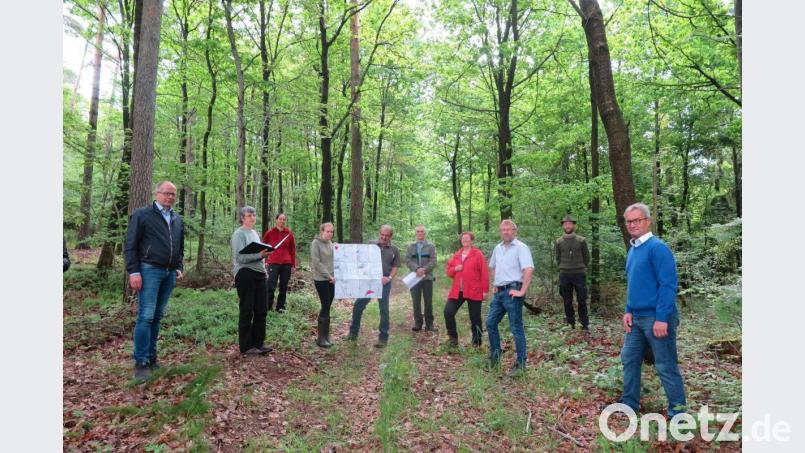 Bei der Waldbegehung überzeugten sich Bürgermeister Roman Schäffler, Sachverständige Gisela Wenig, Katharina Hage, Johanna Wolf, Klaus Ferber, Forstdirektor Dirk Lüder, Rita Ponnath, Hermann Schraml, Martin Wittmann und Werner Nickl (von links) vom derzeitigen Baumbestand und besprachen die notwendigen Umstrukturierungsmaßnahmen. Bild: jzk