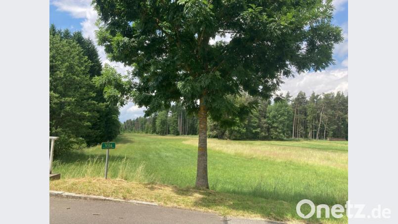 In Gressenwöhr steht ein größerer ökologischer Ausbau der Vils an mit dem Ziel, einen größeren Renaturierungsraum zu schaffen. Das Projekt wird mit dem Wasserwirtschaftsamt Weiden realisiert. Bild: e