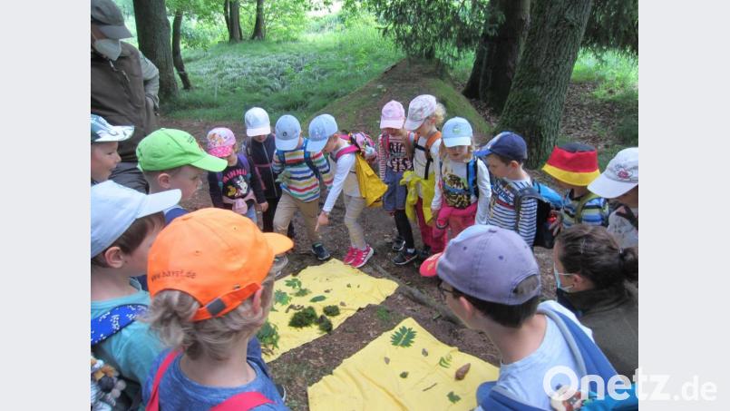Viel Wissenswertes erfuhren die Mädchen und Jungen des Falkenberger Kindergartens St. Rita bei der Tour mit den Naturpark-Rangern. Bild: Kindergarten St. Rita/exb