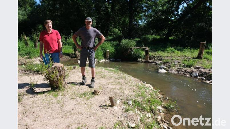 Hochkant oder quer im Boden eingepflanzt, treiben die abgeschnittenen Weidenstämme am verbesserten Vils-Umgehungsbach wieder aus, wie Hans Pickelmann (links), der Leiter der Flussmeisterstelle Kümmersbruck, und Vorarbeiter Wilhelm Höpfl (rechts) erläuterten: Eine Aufwertung des Auwalds. Bild: usc
