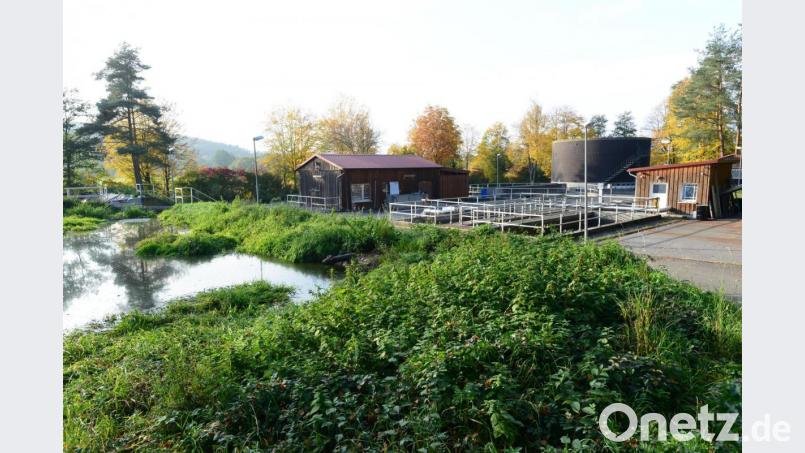 Für die Sanierung der Kläranlage erhält der Markt Luhe-Wildenau jetzt eine Förderung in Höhe von 957.000 Euro, bisher waren &quot;nur&quot; 820.000 Euro Fördermittel eingeplant. Bild: bey