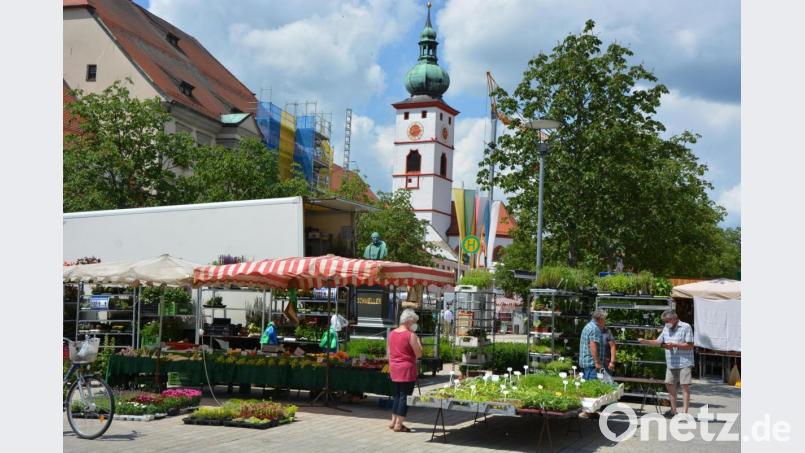 Am Sonntag fand der traditionsreiche Peter- und-Paulmarkt in Tirschenreuth statt. Bild: jr