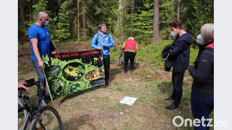 Bedrohte Tierarten: Die LBV-Vogelschützer Christoph Bauer (links) und Dr. Christian Stierstorfer zeigen auf einem Plakat, welche seltenen Tiere in dem vom Abholzen gefährdeten Wald leben. Bild: jrh
