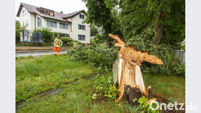 In Fronberg (Stadt Schwandorf) knickte der Wind einen mächtigen Alleebaum nahe der Petruskapelle um. Der Stamm landete zum Glück auf der Straße, und nicht auf dem angrenzenden Gebäude. Bild: Hösamer