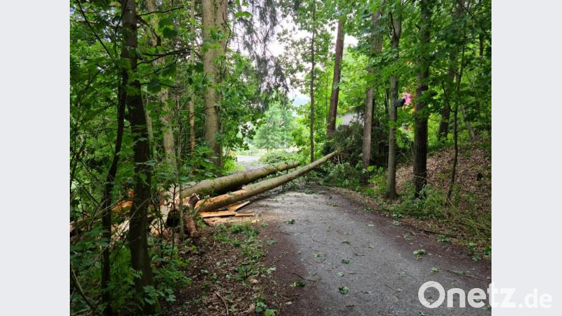 Sturmschäden Gmünd Bild: sne