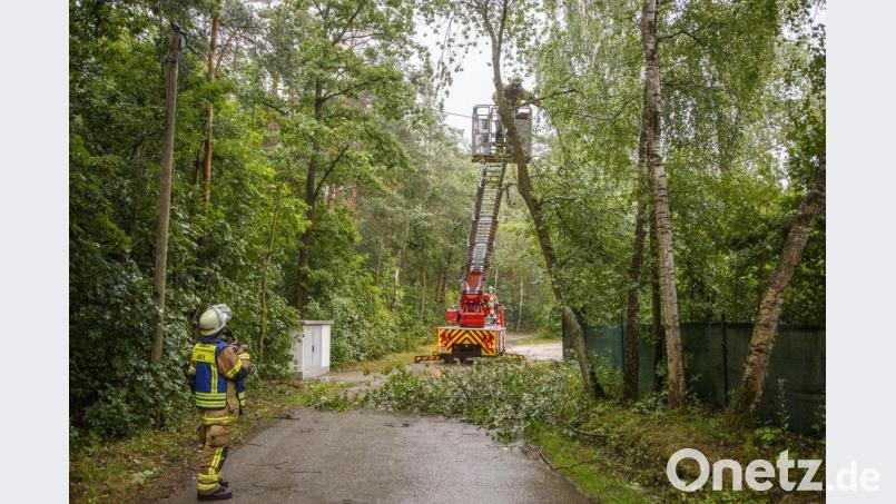 Am Schwandorfer Klausensee nahe der Seeklause kam die Drehleiter zum Einsatz. Bäume, die umzustürzen drohten, wurden Stück für Stück gekappt. Bild: Hösamer