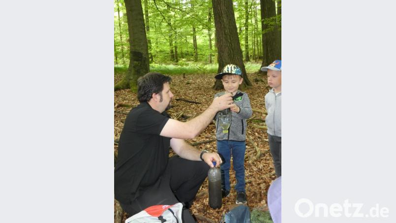 Die Mädchen und Buben des Kindergartens Don Bosco sammelten bei einer Waldwoche viele Eindrücke und erfuhren viel Wissenswertes über das Leben im Wald. Bild: dob