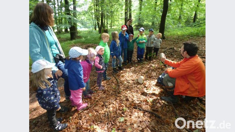 WBV-Förster Andreas Eiser erklärte den Kindern anhand von Baumscheiben, um welche Baumart es sich handelte. Bild: dob