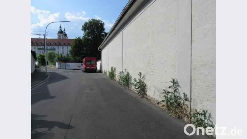 Disteln verschönern Klostermauer in der Brauhausstraße in Waldsassen. Bild: kgg