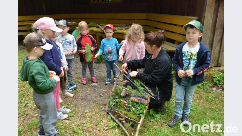 Die Mädchen und Buben des Kindergartens Don Bosco sammelten bei einer Waldwoche viele Eindrücke und erfuhren viel Wissenswertes über das Leben im Wald. Bild: dob