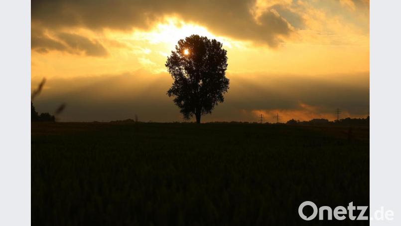 In der kommenden Woche wechseln sich Sonnenschein und Regenschauer ab. Symbolbild: David Young/dpa