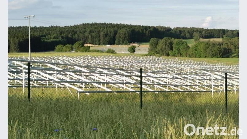Die Ausdehnung des Solarparks an der Straße nach Wildeppenried war für viele Oberviechtacher ein Anlass, das Bürgerbegehren gegen Flächenfraß zu unterzeichnen. Mängel bei der Fragestellung verhindern einen Bürgerentscheid. Bild: Portner